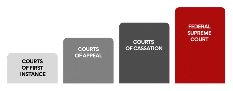 Federal Court System infographic